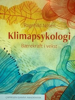 Ragnhild Nilsen har skrevet en bok som skal gjøre det enklere å få til bærekraftig utvikling.